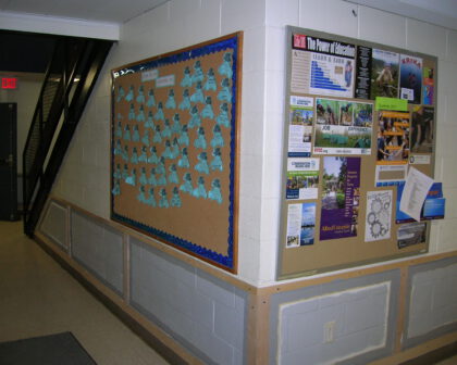 Wainstoct in process, old bulletin boards